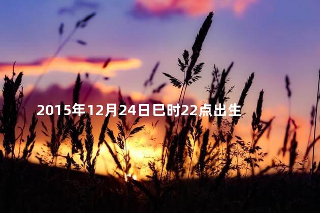2015年12月24日巳时22点出生五行缺什么呢