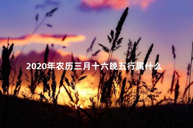 2020年农历三月十六晚五行属什么