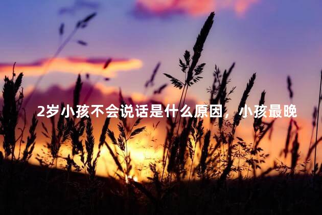 2岁小孩不会说话是什么原因，小孩最晚多大说话属正常现象
