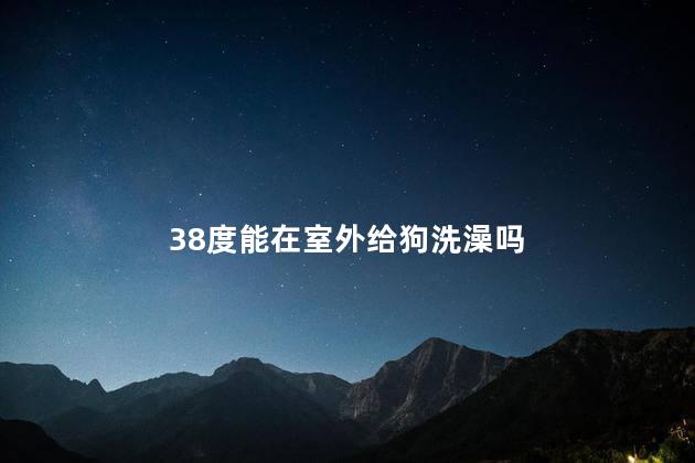 38度能在室外给狗洗澡吗