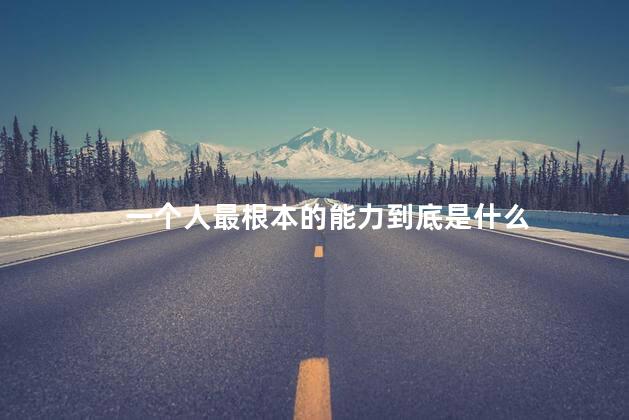 一个人最根本的能力到底是什么