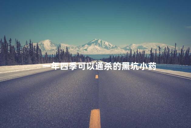 一年四季可以通杀的黑坑小药