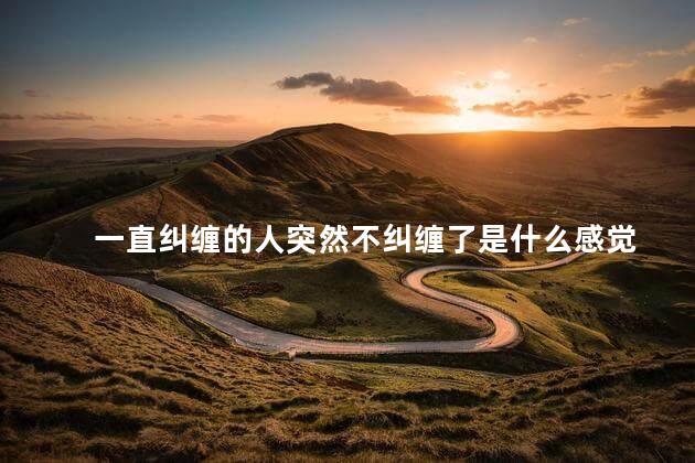 一直纠缠的人突然不纠缠了是什么感觉