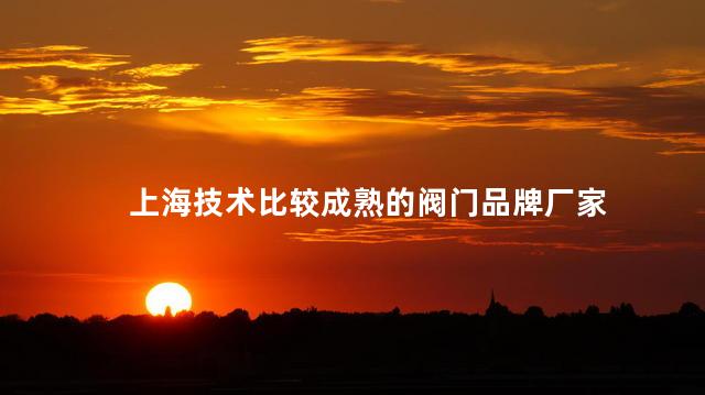 上海技术比较成熟的阀门品牌厂家