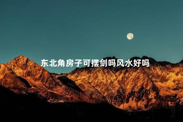 东北角房子可摆剑吗风水好吗