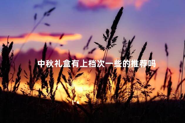 中秋礼盒有上档次一些的推荐吗