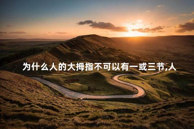 为什么人的大拇指不可以有一或三节，人的大拇指为什么不可以有一或三节