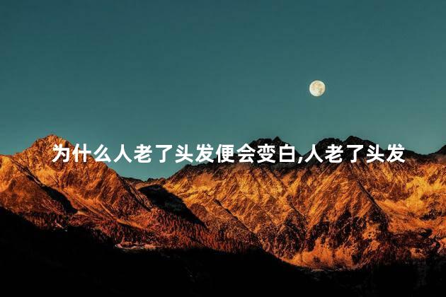 为什么人老了头发便会变白，人老了头发变白是什么原因造成的