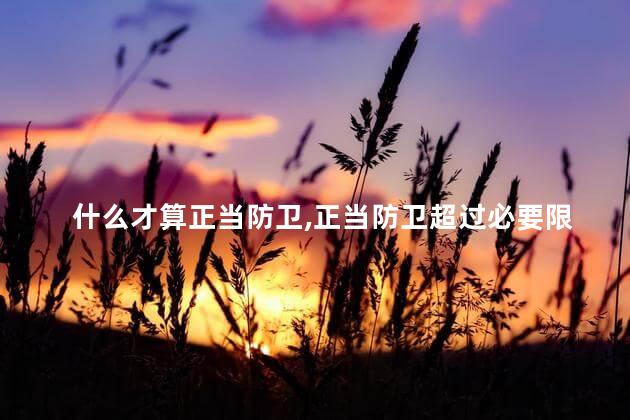 什么才算正当防卫，正当防卫超过必要限度，是否要承担民事责任