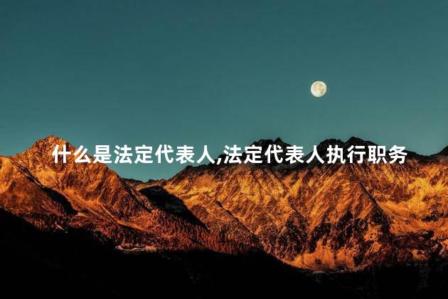 什么是法定代表人，法定代表人执行职务造成他人损害，责任由谁承担