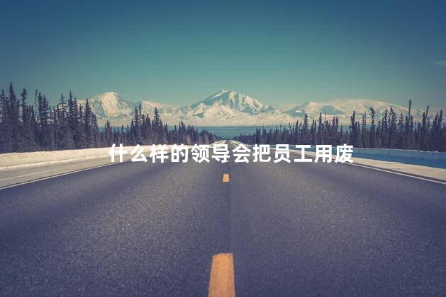 什么样的领导会把员工用废