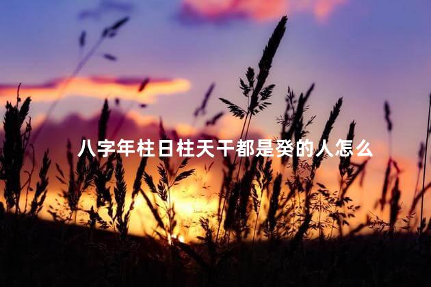 八字年柱日柱天干都是癸的人怎么