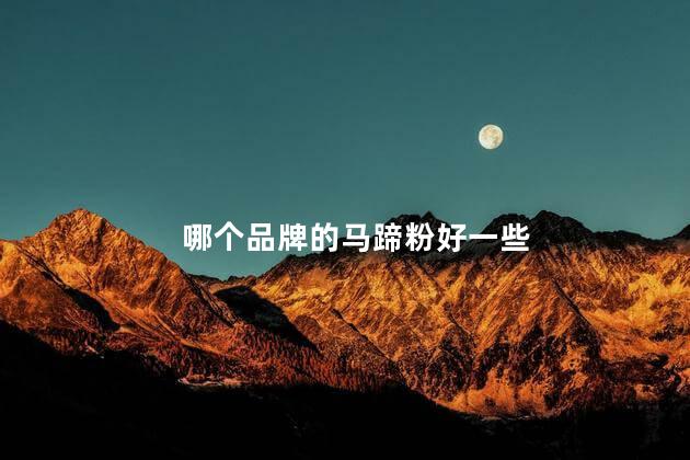 哪个品牌的马蹄粉好一些