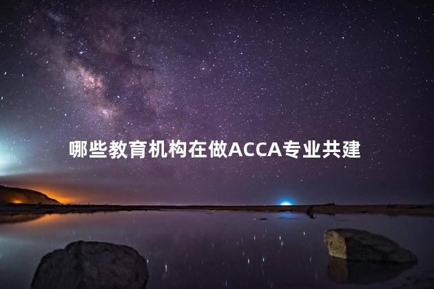 哪些教育机构在做ACCA专业共建