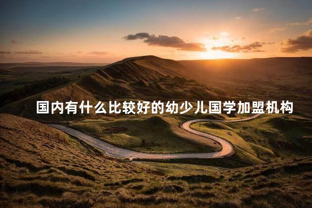 国内有什么比较好的幼少儿国学加盟机构