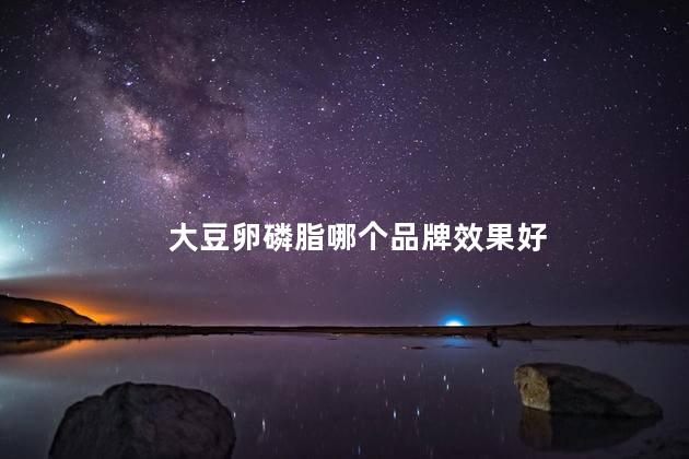 大豆卵磷脂哪个品牌效果好