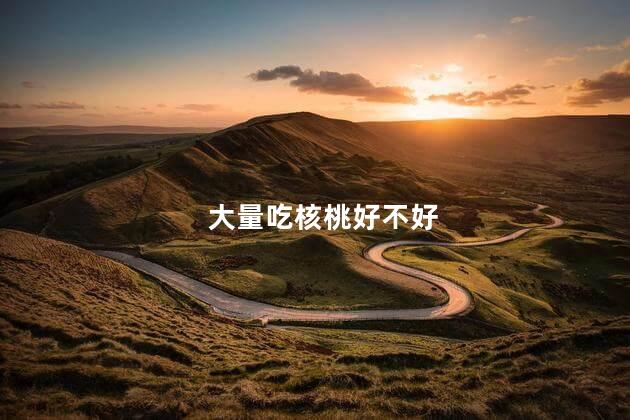 大量吃核桃好不好 大量吃核桃好吗