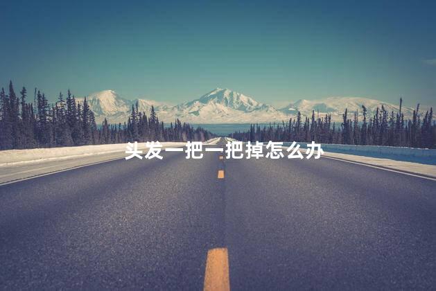头发一把一把掉怎么办