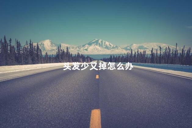 头发少又掉怎么办