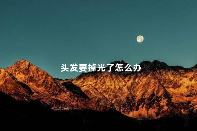 头发要掉光了怎么办
