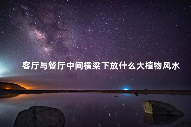 客厅与餐厅中间横梁下放什么大植物风水好