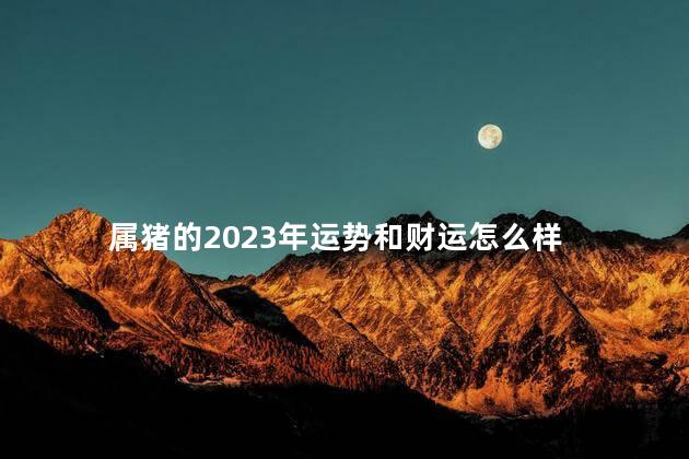 属猪的2023年运势和财运怎么样