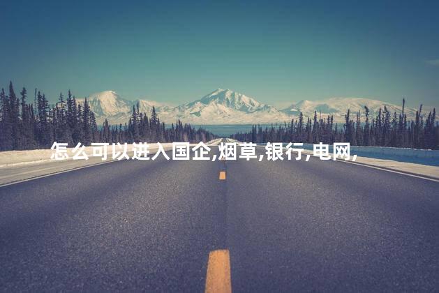 怎么可以进入国企、烟草、银行、电网、铁路国企单位工作