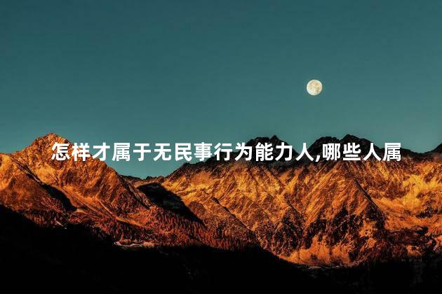 怎样才属于无民事行为能力人，哪些人属于无民事行为能力人
