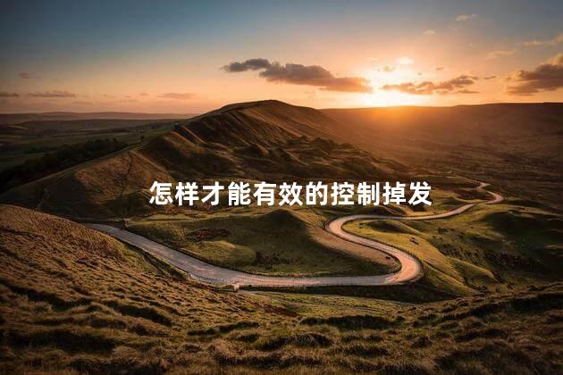 怎样才能有效的控制掉发