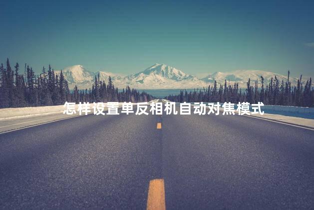 怎样设置单反相机自动对焦模式