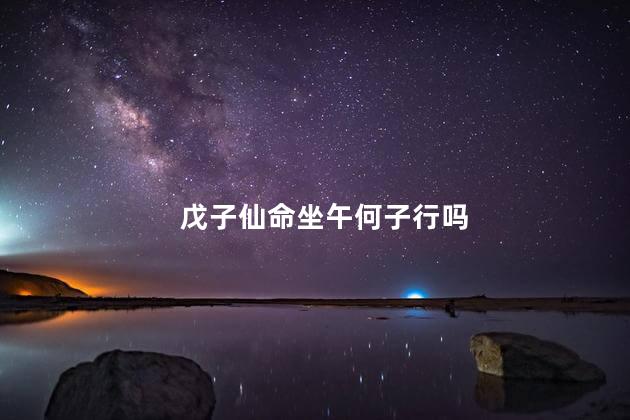 戊子仙命坐午何子行吗