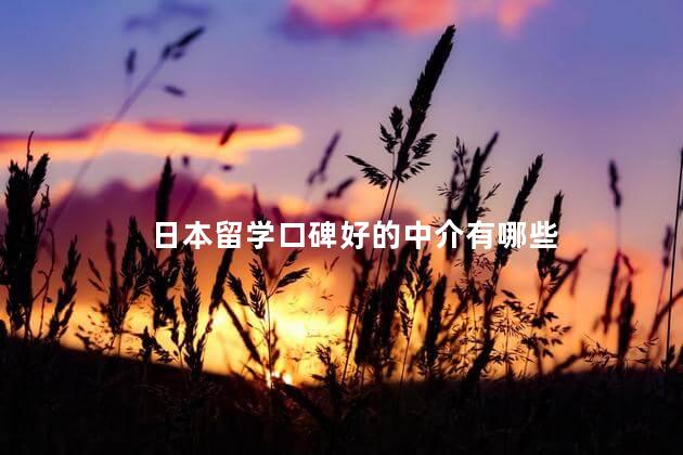 日本留学口碑好的中介有哪些
