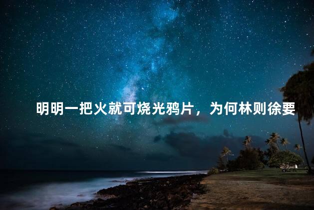 明明一把火就可烧光鸦片，为何林则徐要劳神费力用海水浸泡
