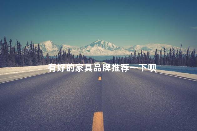 有好的家具品牌推荐一下呗