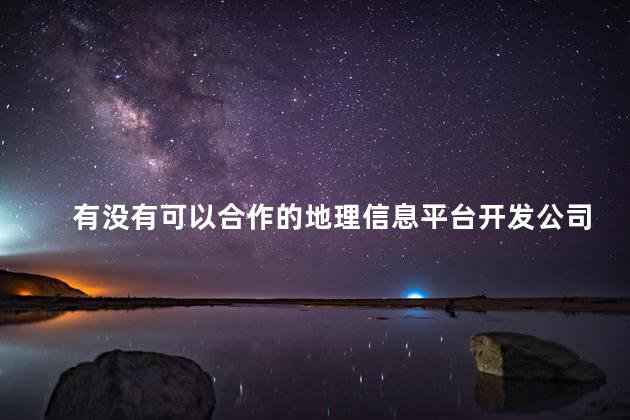 有没有可以合作的地理信息平台开发公司推荐
