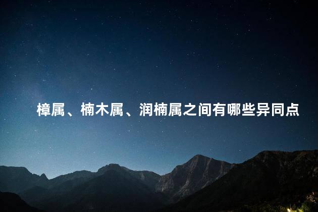 樟属楠木属润楠属之间有哪些异同点