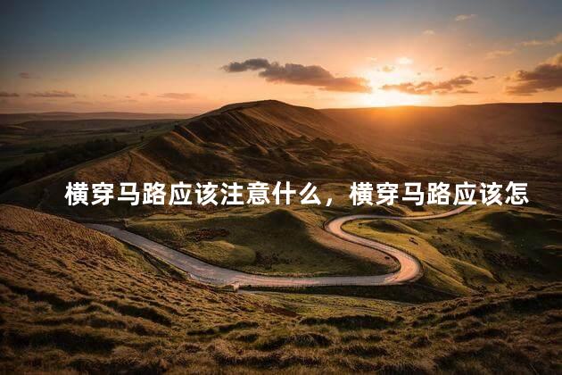 横穿马路应该注意什么，横穿马路应该怎样做