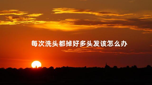 每次洗头都掉好多头发该怎么办