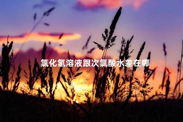 氯化氢溶液跟次氯酸水差在哪