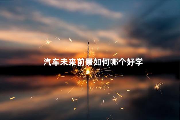 汽车未来前景如何哪个好学