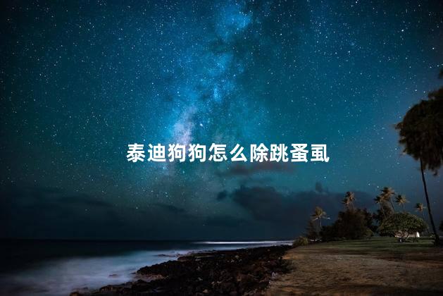 泰迪狗狗怎么除跳蚤虱
