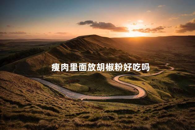 瘦肉里面放胡椒粉好吃吗