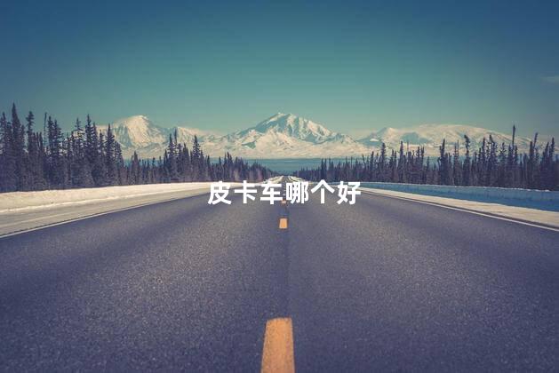 皮卡车哪个好