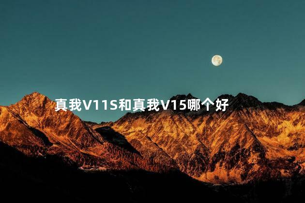 真我V11S和真我V15哪个好