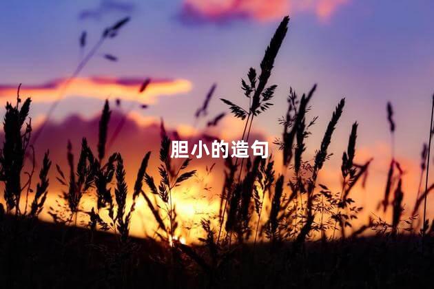 胆小的造句