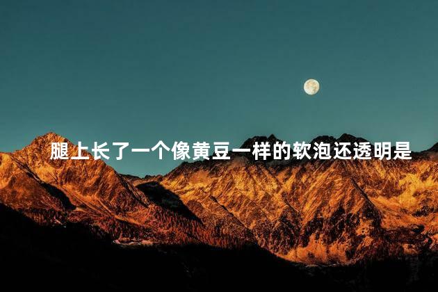 腿上长了一个像黄豆一样的软泡还透明是什么