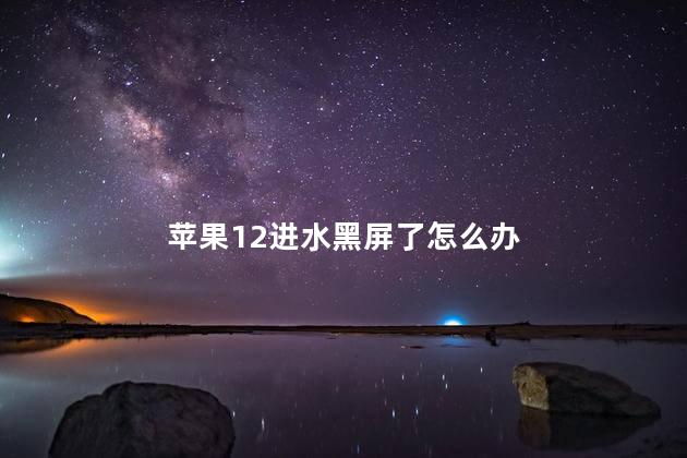 苹果12进水黑屏了怎么办