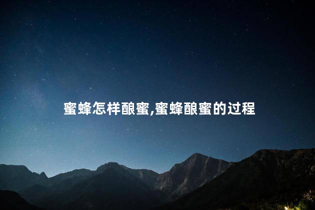 蜜蜂怎样酿蜜，蜜蜂酿蜜的过程