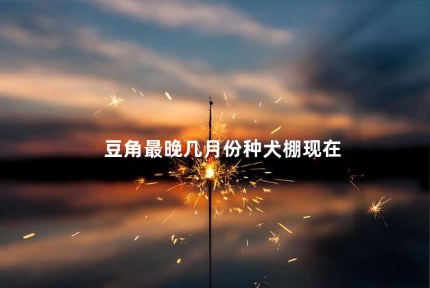 豆角最晚几月份种犬棚现在