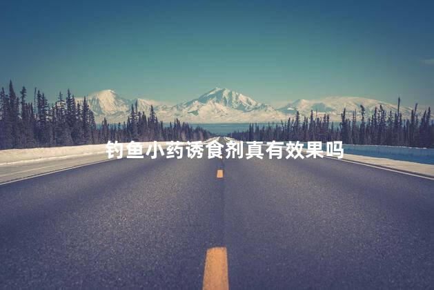 钓鱼小药诱食剂真有效果吗